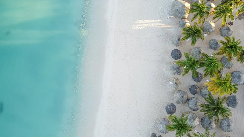 Aerial view of an Aruban beach with palm trees and thatched sun shades