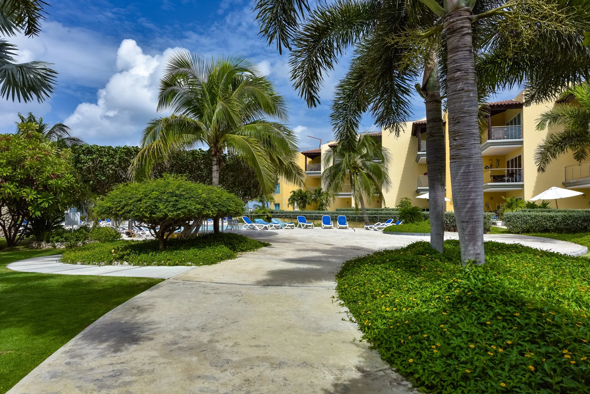 Oceania 312, photo 21 of 32