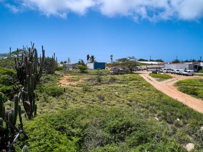 Land for Sale in Paradera, Aruba - Papaya Property Land, photo 4 of 10