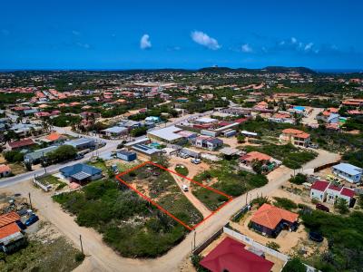 Papaya Property Land, photo 9 of 10