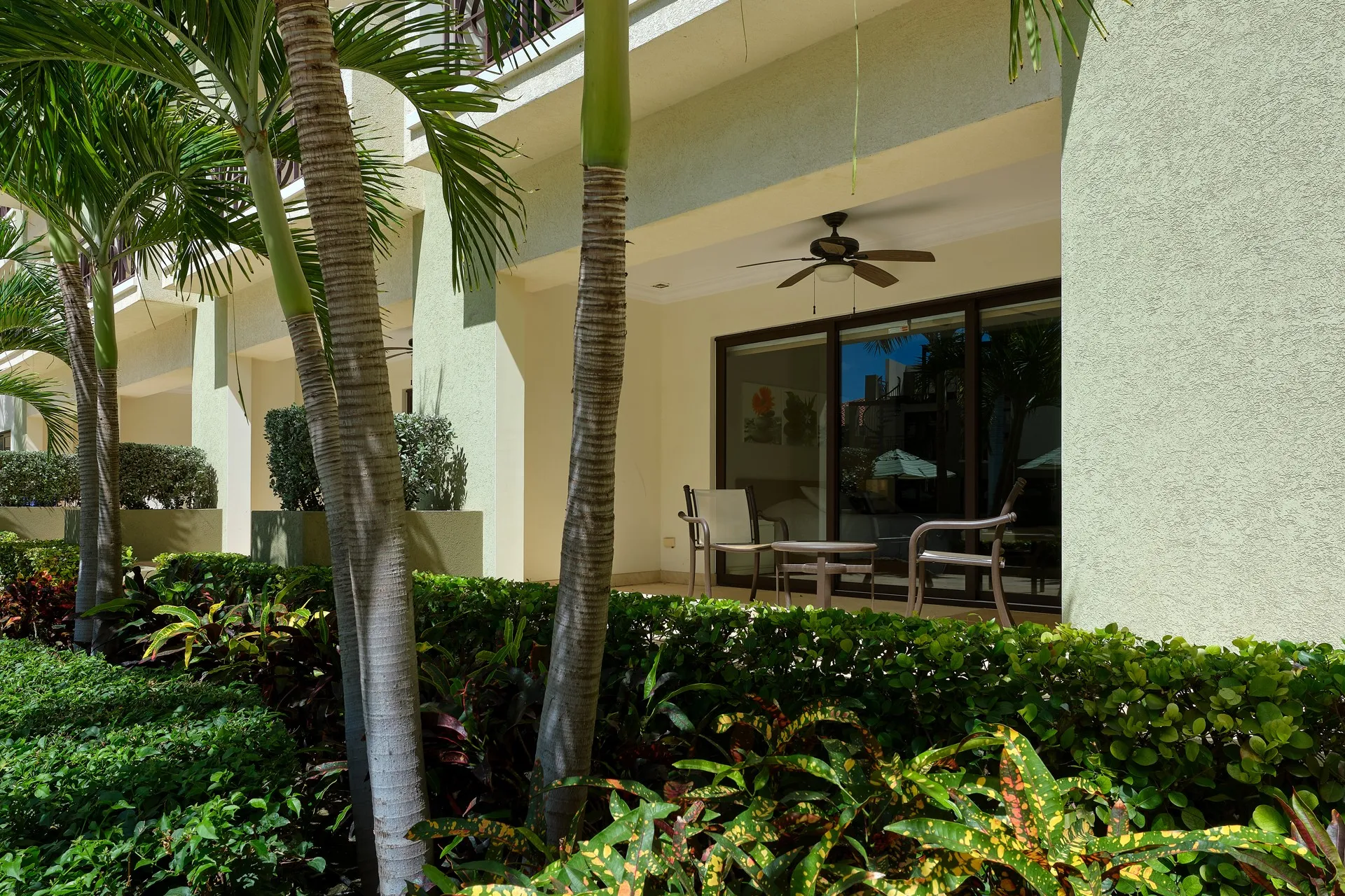 Palm Aruba 107, photo 19 of 29