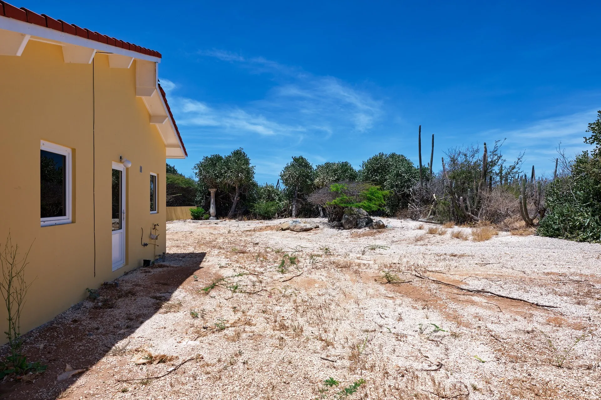 Orcuyo 18, photo 24 of 28