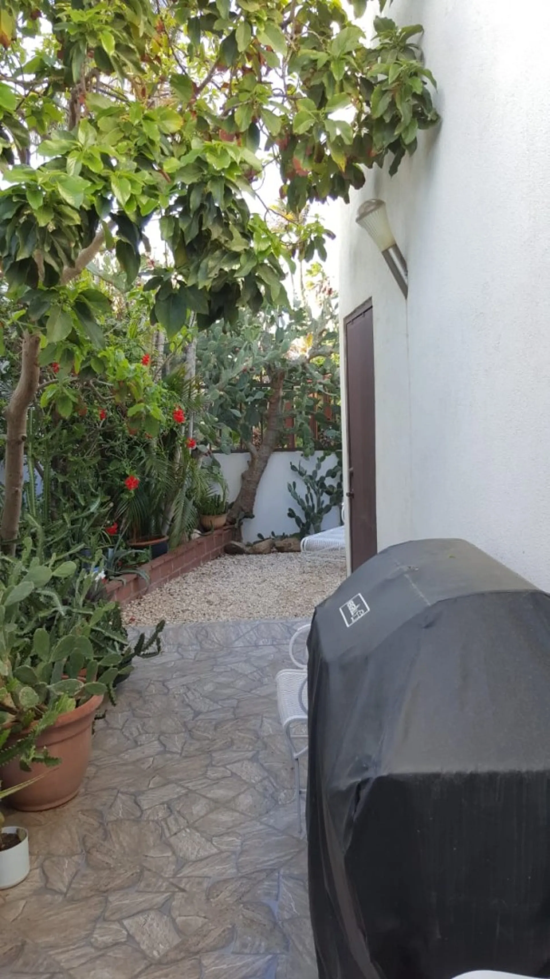 Residential for Sale in Paradera, Aruba - Nune 81, photo 3 of 7