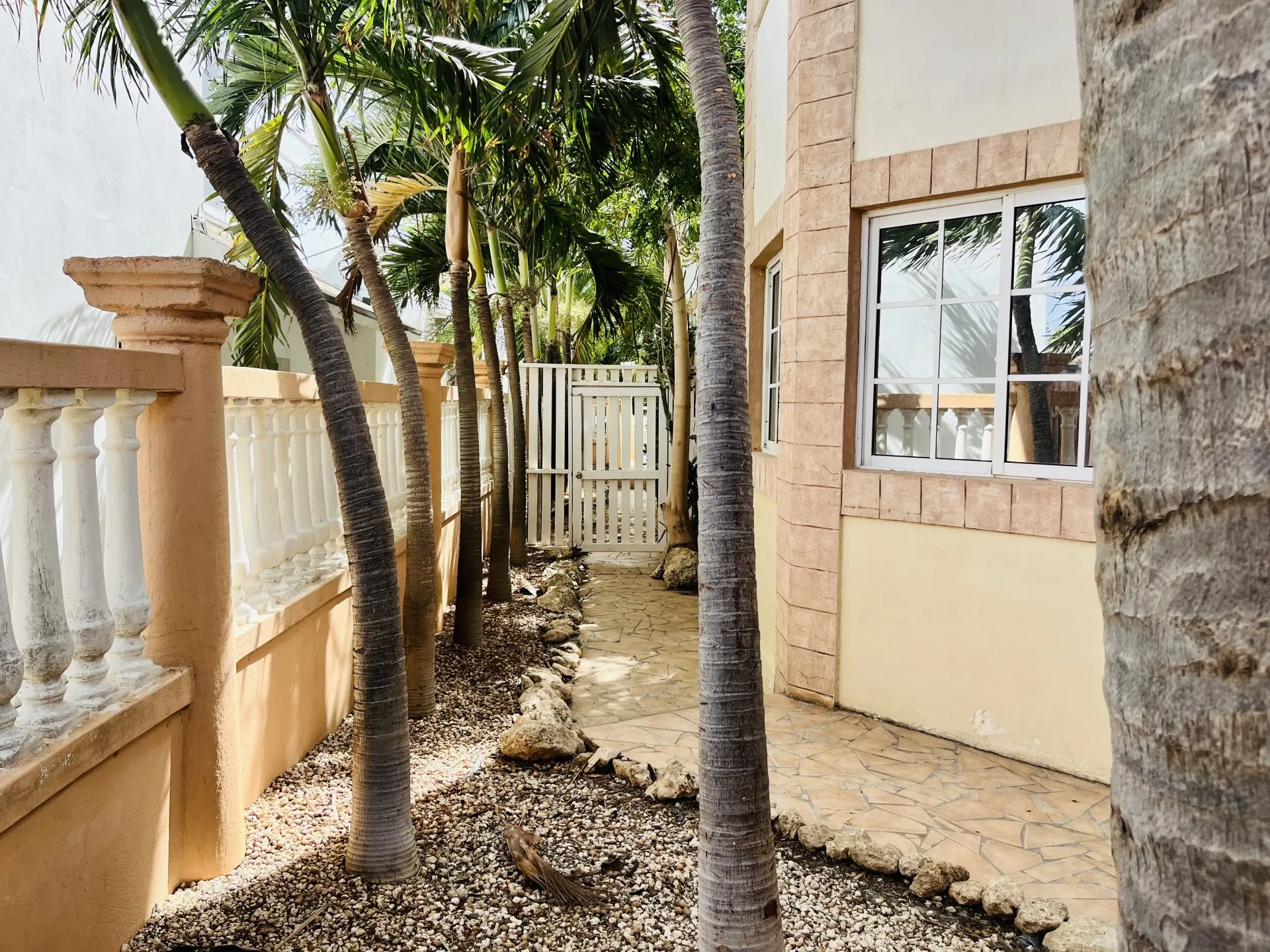 Bubali 73C Apartment 3, photo 8 of 12