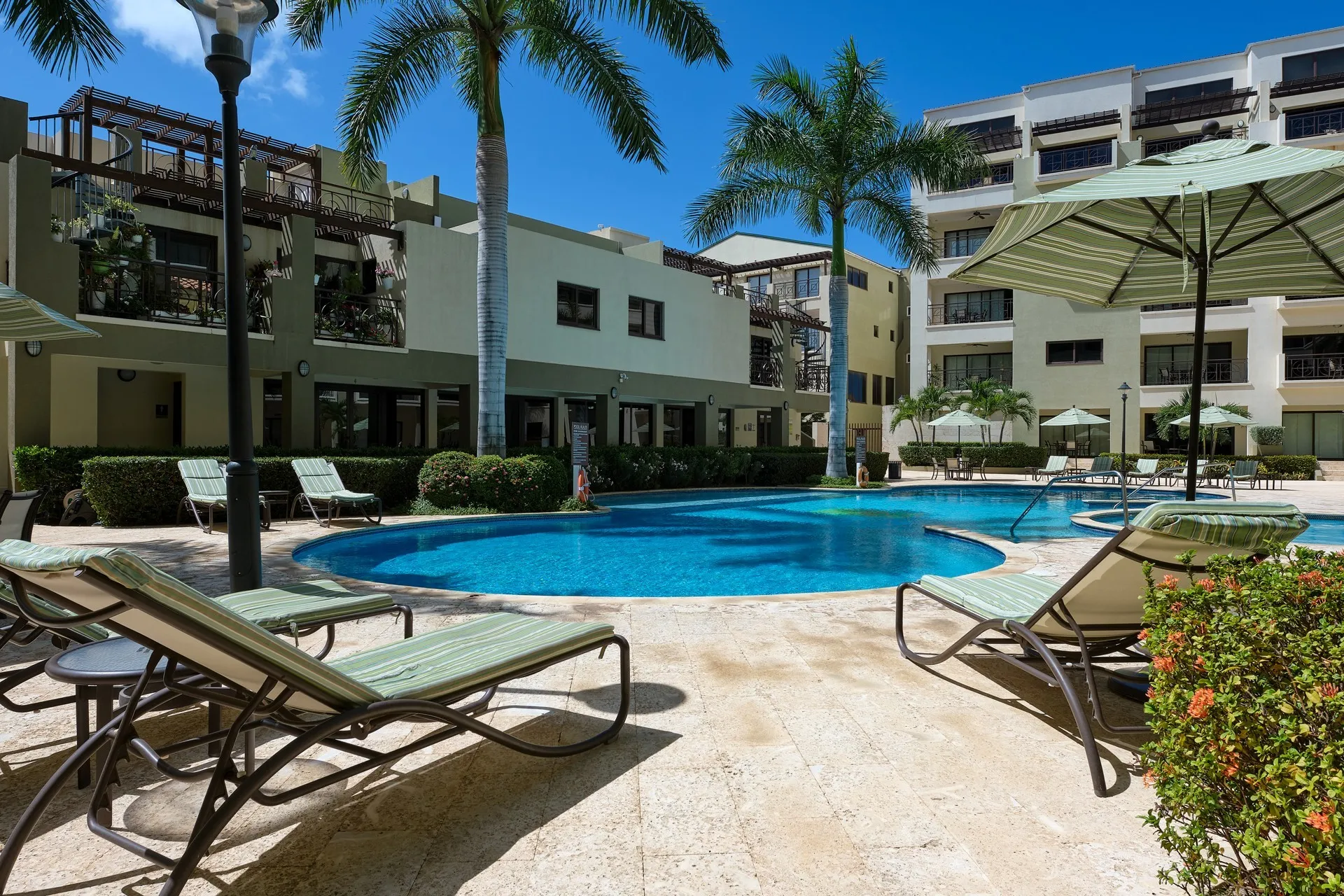 Palm Aruba 516, photo 7 of 30