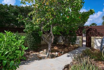 Caya Luna 47, photo 26 of 41