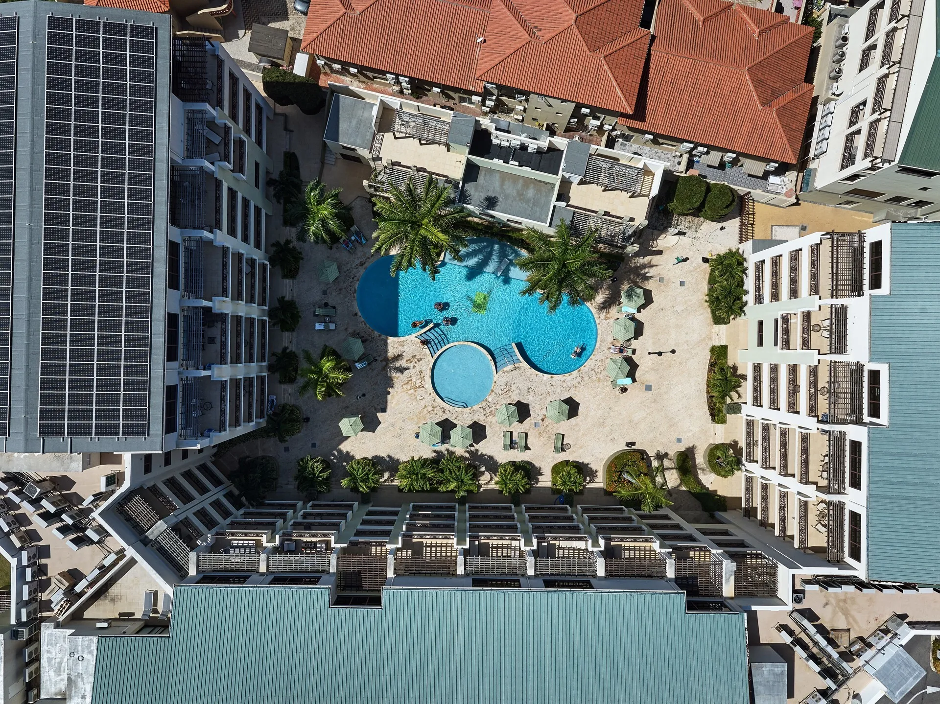 Palm Aruba 517, photo 9 of 38