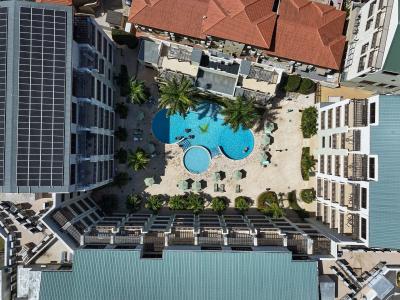 Palm Aruba 517, photo 9 of 38