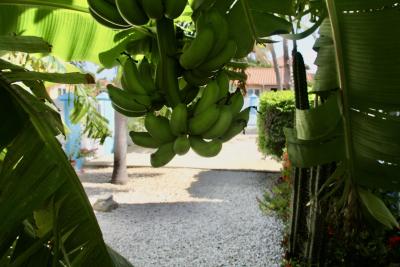 Residential for Sale in Noord, Aruba - Montaña 93, photo 3 of 39
