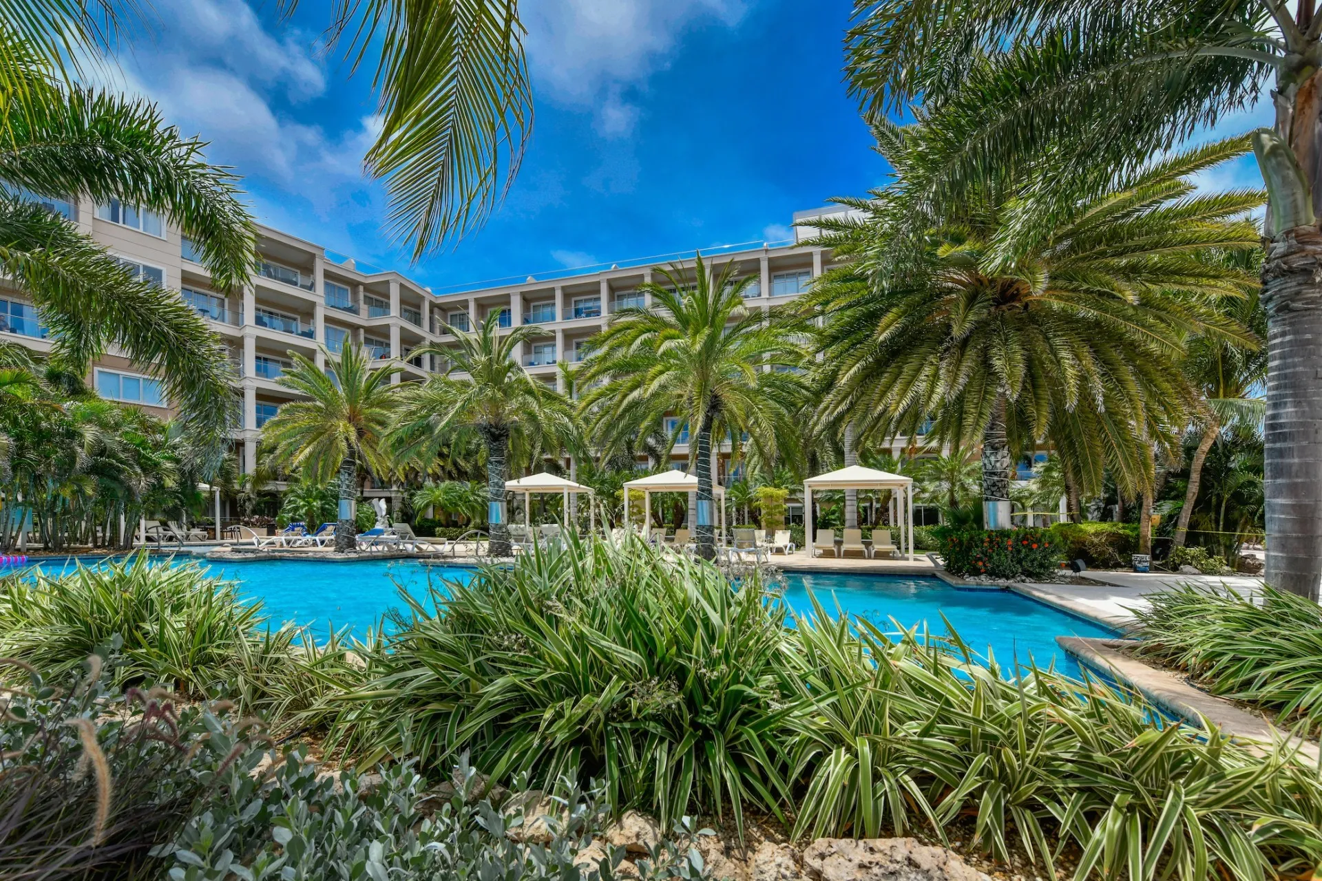 Condominium for Sale in Eagle Beach, Aruba - 5th Floor Condo at Le Vent, photo 6 of 28