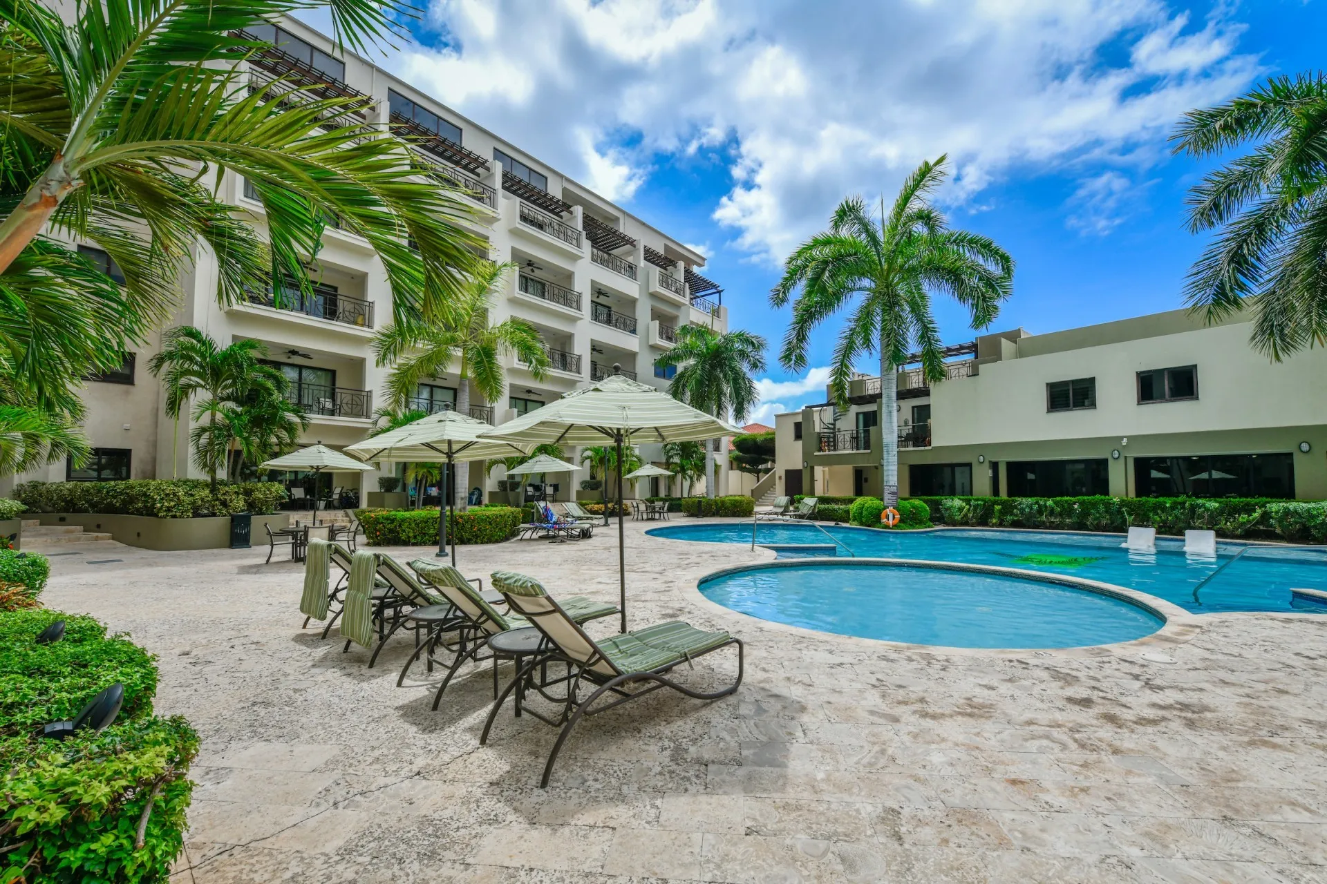 Palm Aruba 414, photo 23 of 32