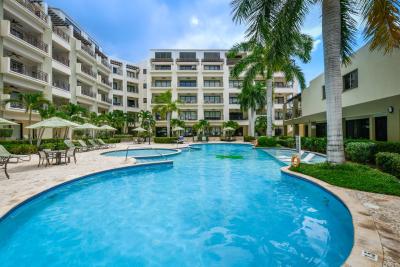 Palm Aruba 414, photo 24 of 32
