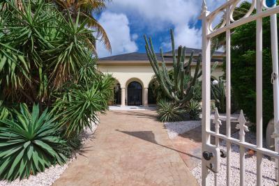 Oranjestad Luxury Villa, photo 8 of 68