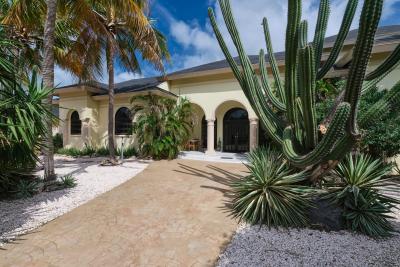 Oranjestad Luxury Villa, photo 10 of 68