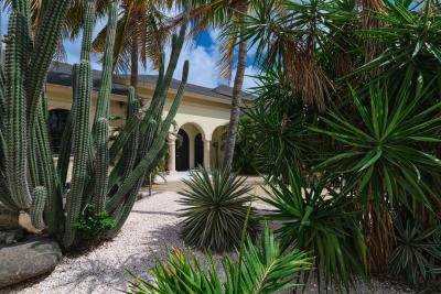 Oranjestad Luxury Villa, photo 12 of 68