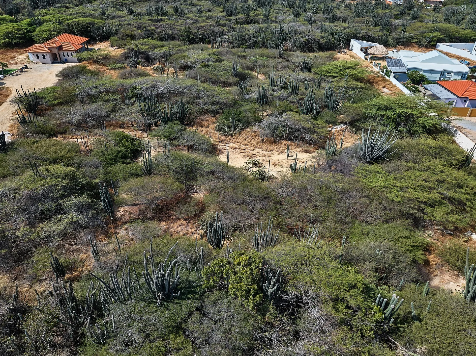 Seroe Noka Property Land (8,136 m2)