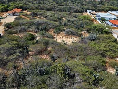 Seroe Noka Property Land (8,136 m2)