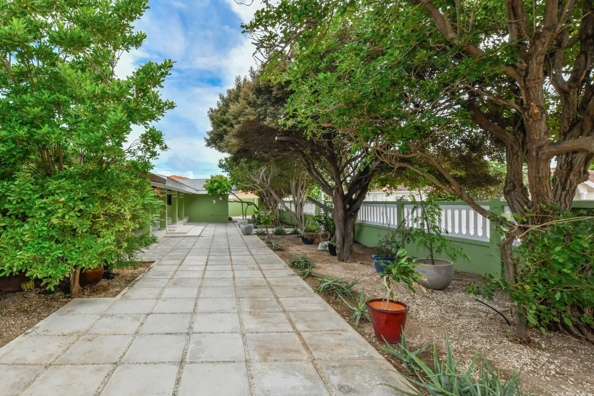 Seroe Blanco 52-L, photo 11 of 33