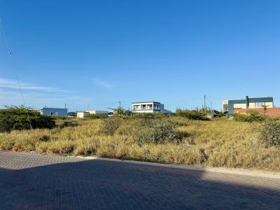 Prime Commercial Development Land – 3,142 m² – Matogerai (Shaba-Matadera), photo 7 of 7
