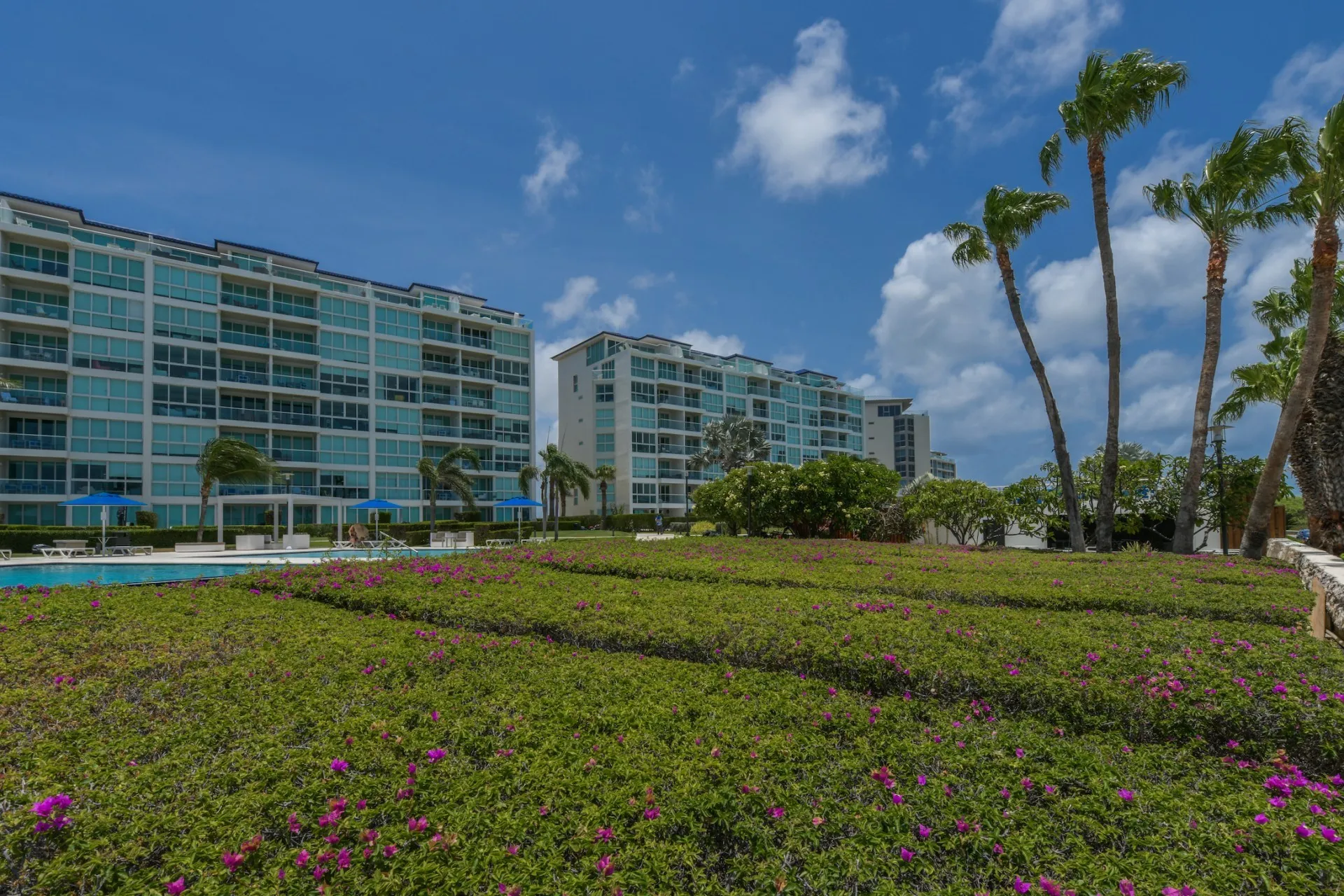 Blue Residences 3-Bedroom Penthouse, photo 51 of 51