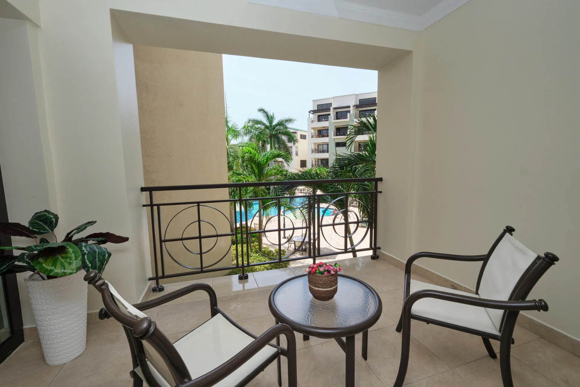 Palm Aruba 210, photo 17 of 32
